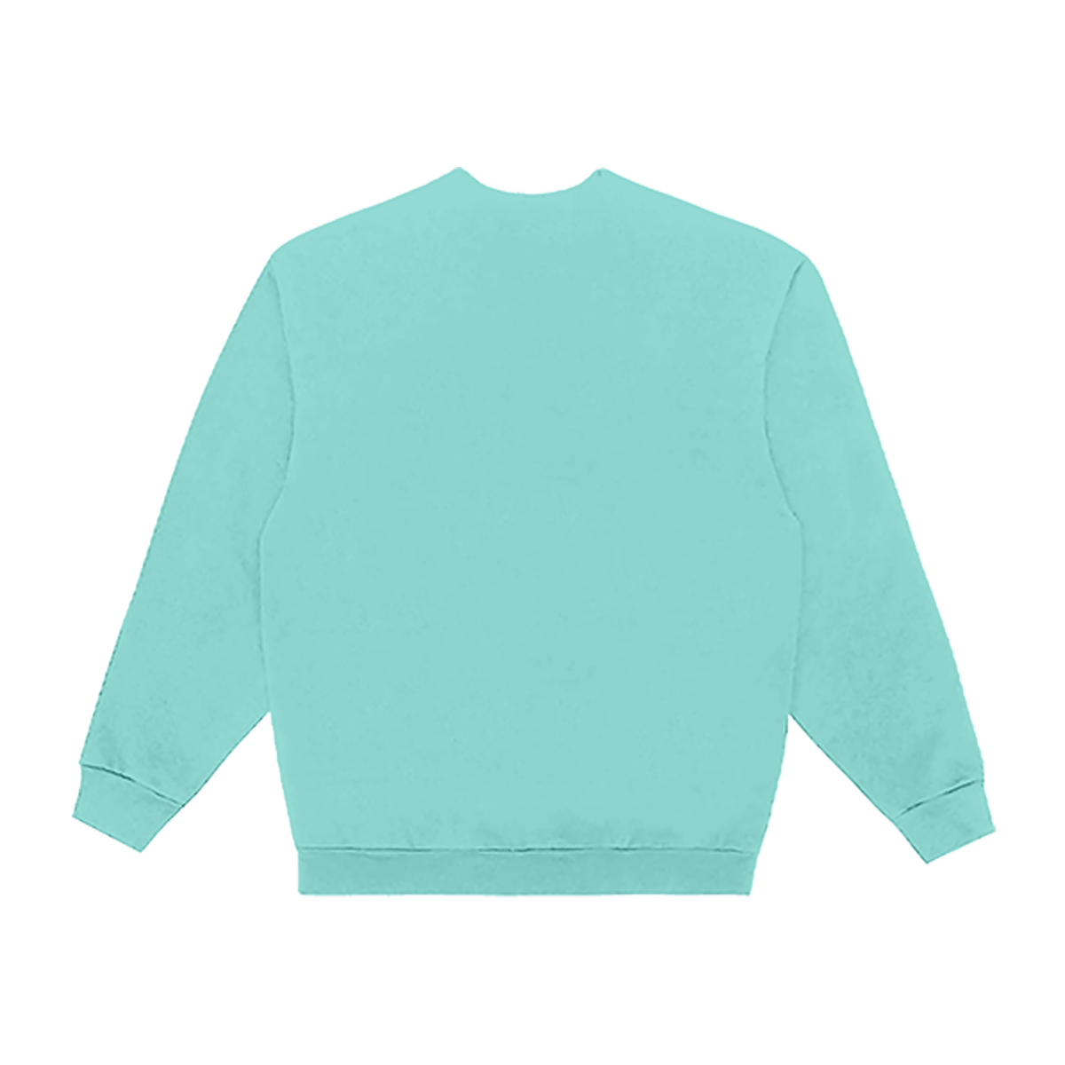 A mint green crewneck sweatshirt shown from the back, laid flat against a solid white background.
