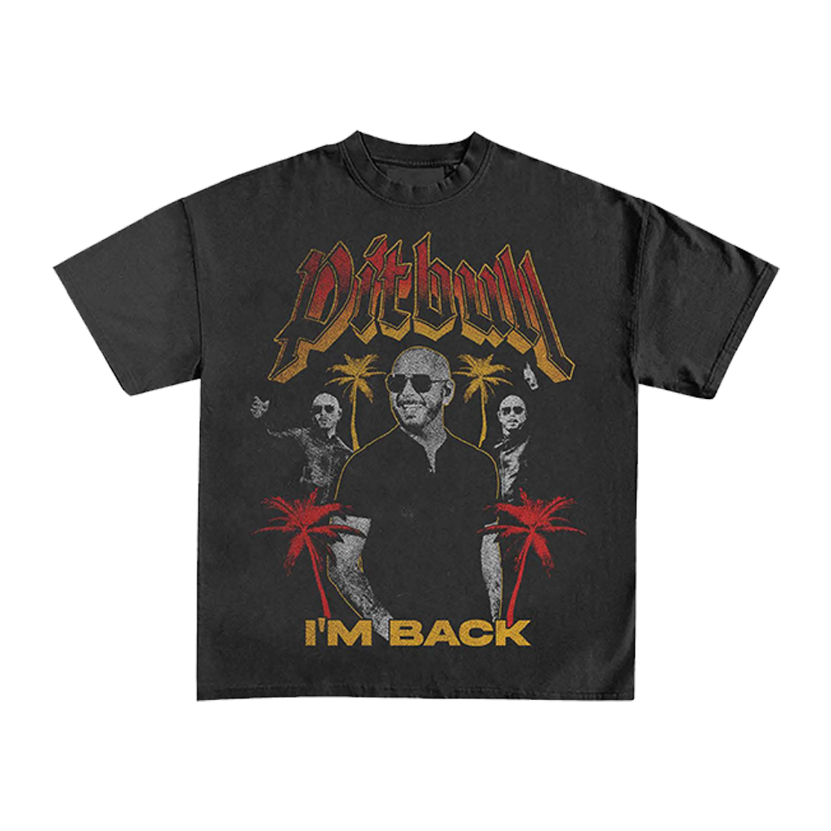 Mr. Worldwide I'm Back 2026 Tour T-Shirt